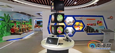 昌江互联网农业小镇 借电商快车，力促农产品销售