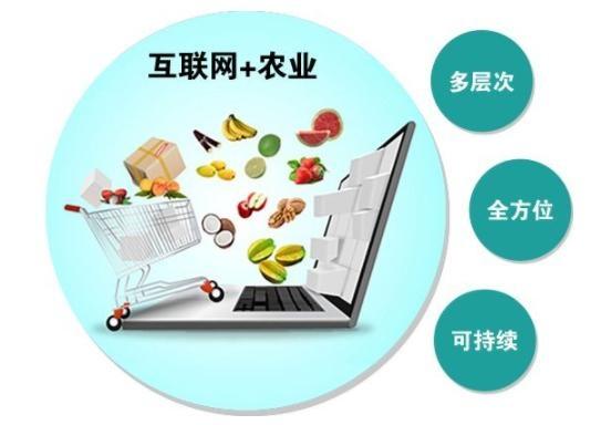 互联网+农产品推进模式 从田间到指尖的智慧转型